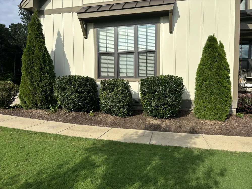 Affordable landscaping services for year-round maintenance across Clayton, NC - RLD