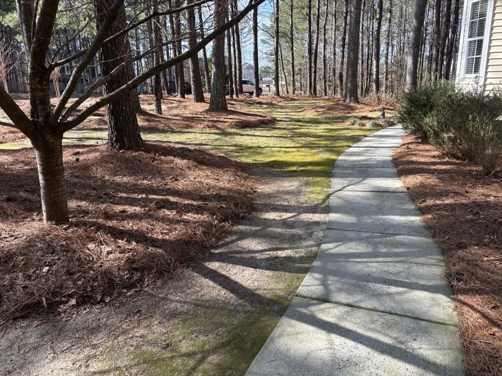 Local landscape design in Clayton, NC - RLD