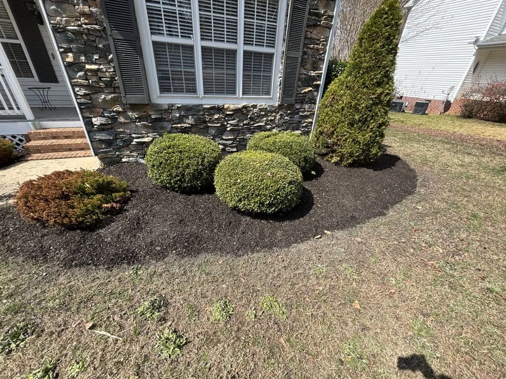Affordable yard maintenance for outdoor upgrades across Clayton, NC - RLD