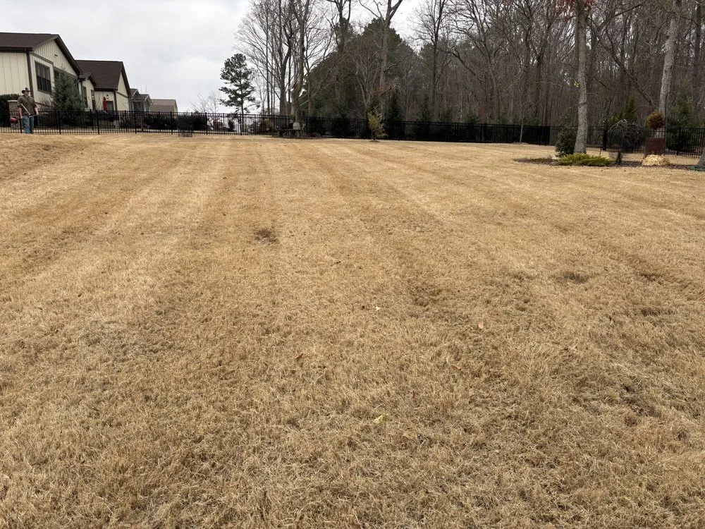 Local lawn mowing service in Clayton, NC - RLD