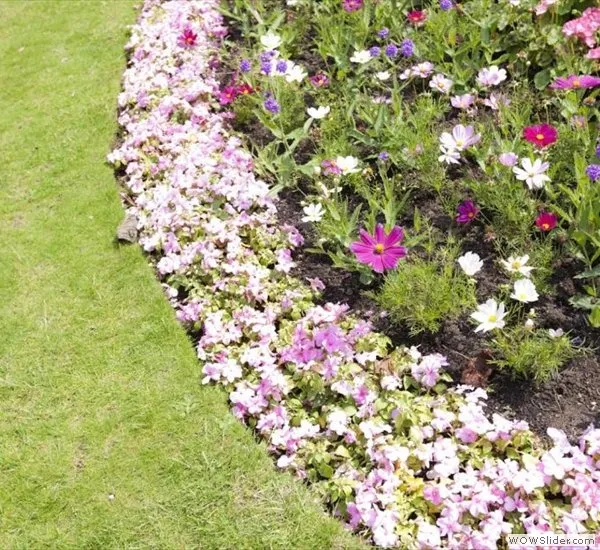 Local outdoor landscaping experts serving Lynn, MA - RLD Landscaping & Construction