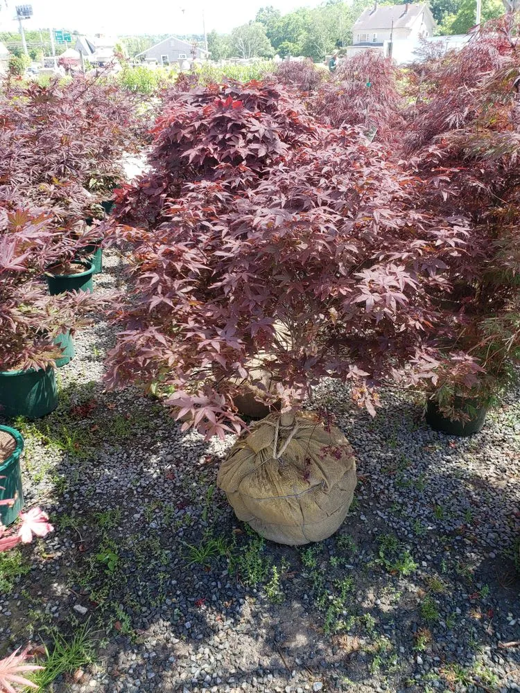 Local residential landscaping for beautiful yards in Lynn, MA by RLD Landscaping & Construction