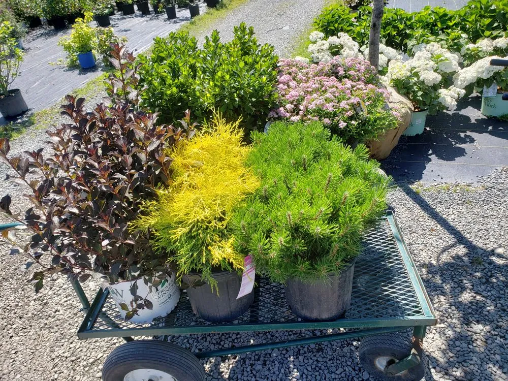 Reliable landscape installation experts serving Lynn, MA - RLD Landscaping & Construction