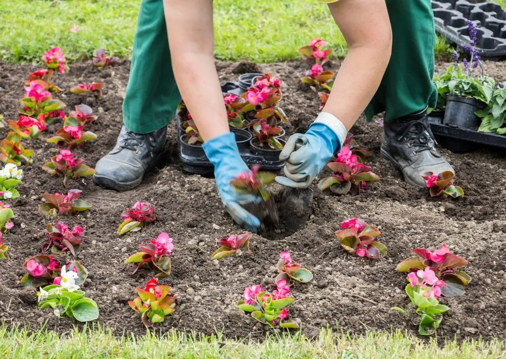 Professional yard maintenance in Hackensack, NJ by RLD Landscaping Bergen County