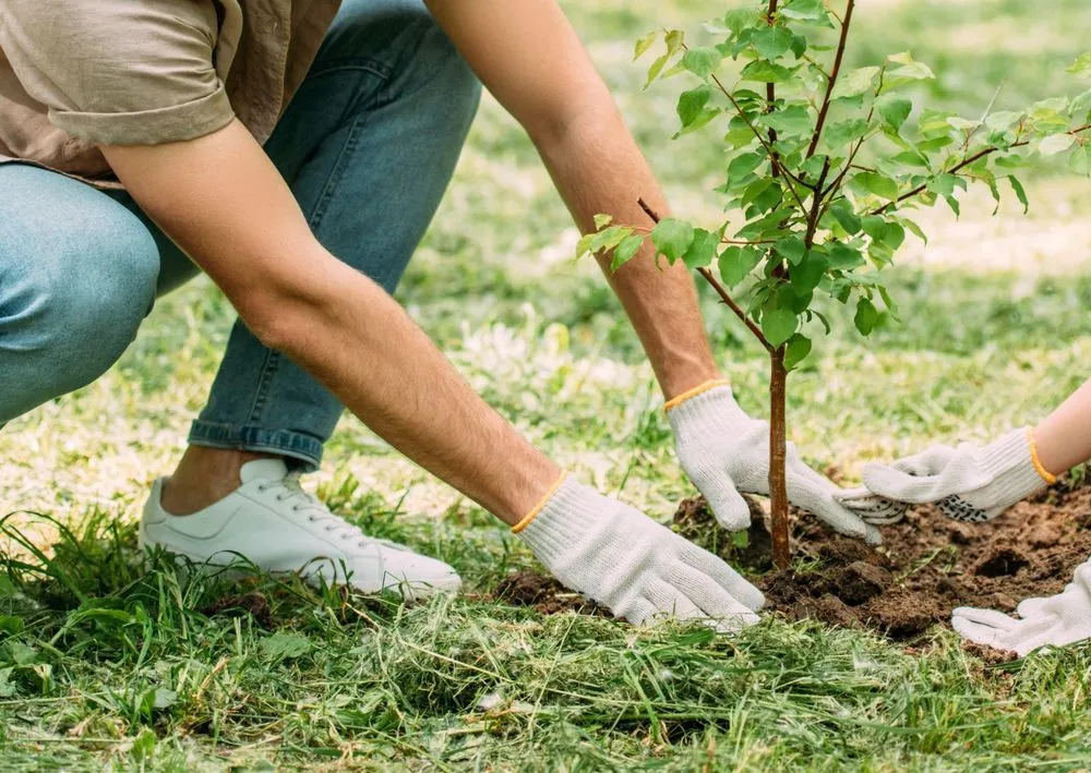 Trusted yard cleanup service experts serving Hackensack, NJ - RLD Landscaping Bergen County