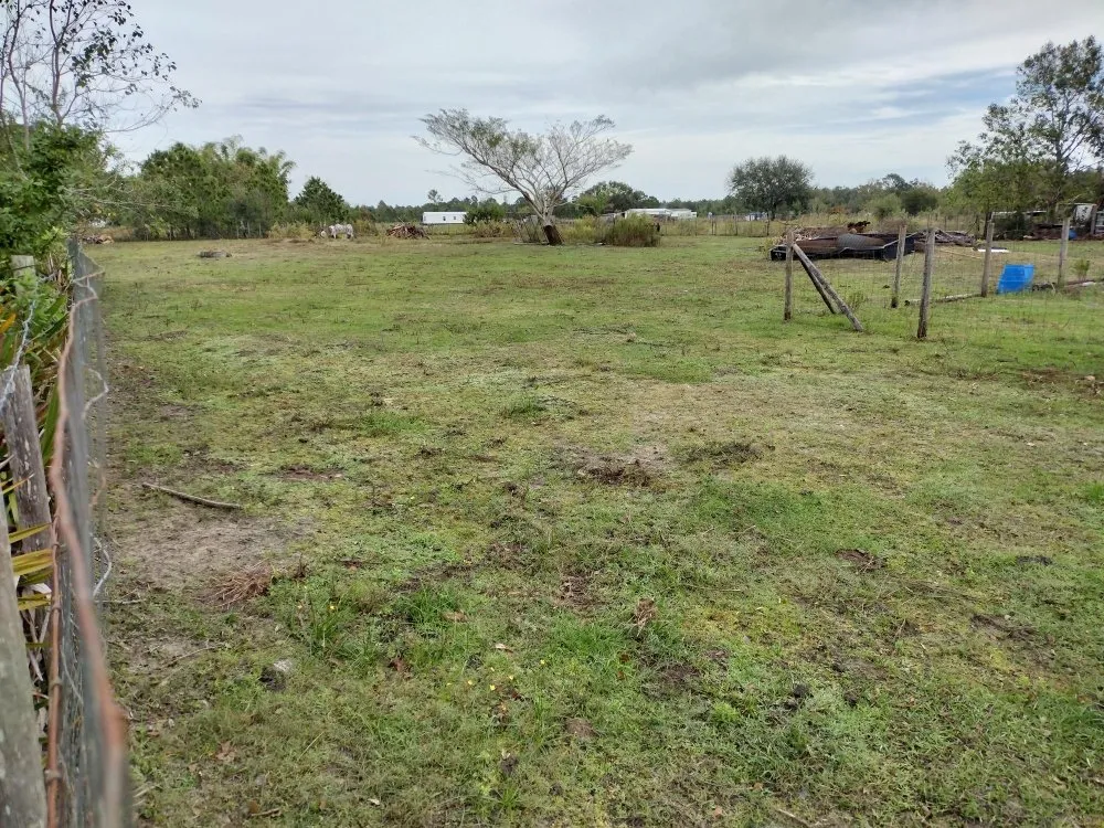 Top-rated landscape design with custom design across Frostproof, FL - RLF Land Services