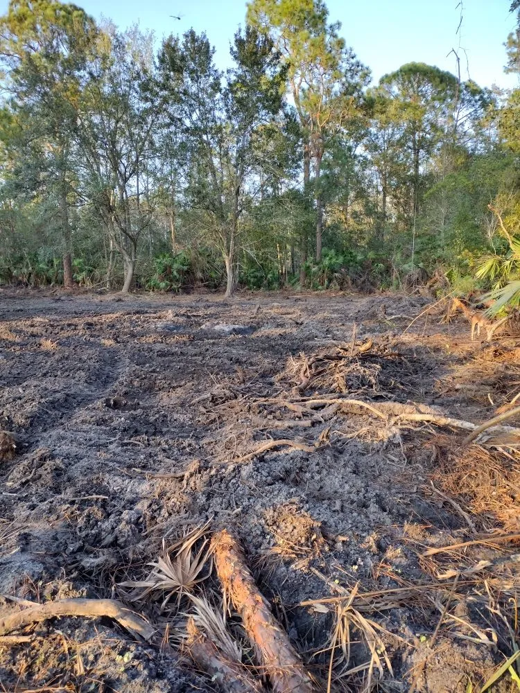 Trusted residential landscaping in Frostproof, FL - RLF Land Services