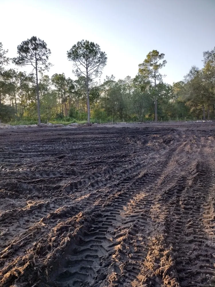 Trusted landscaping services in Frostproof, FL by RLF Land Services
