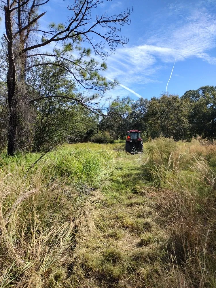 Top-rated landscaping services for beautiful yards in Frostproof, FL by RLF Land Services