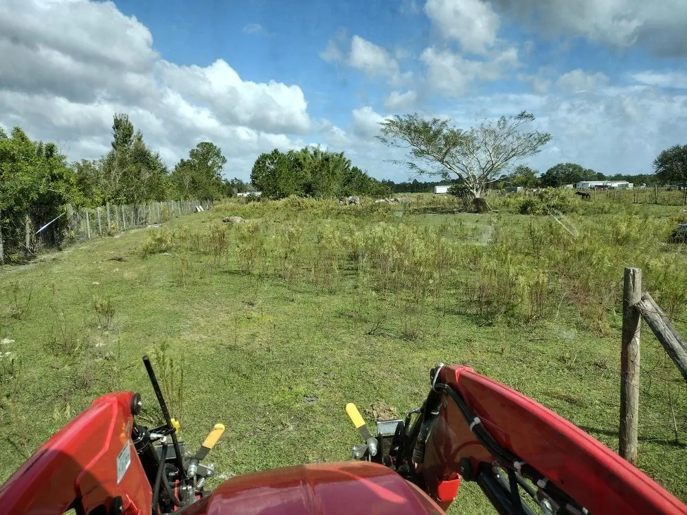 Trusted outdoor landscaping with custom design across Frostproof, FL - RLF Land Services