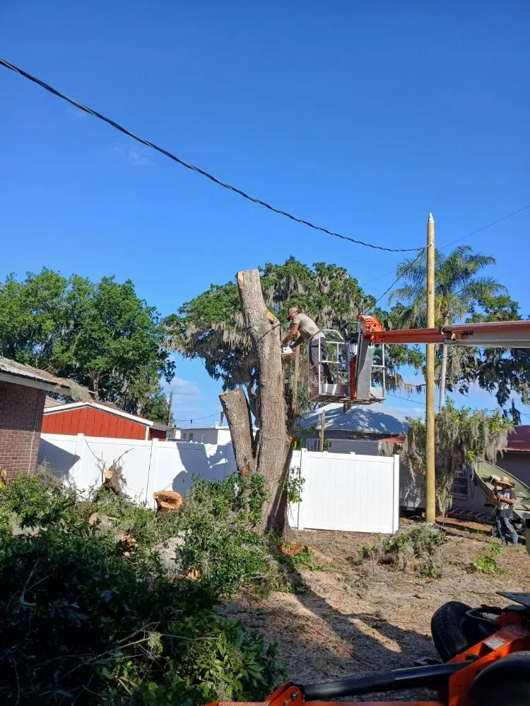 Trusted landscape installation in Frostproof, FL - RLF Land Services