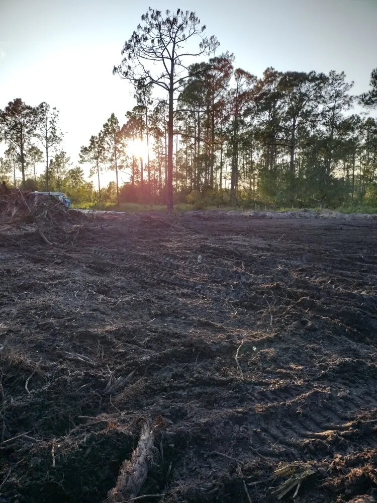 Trusted landscaping services near you in Frostproof, FL by RLF Land Services