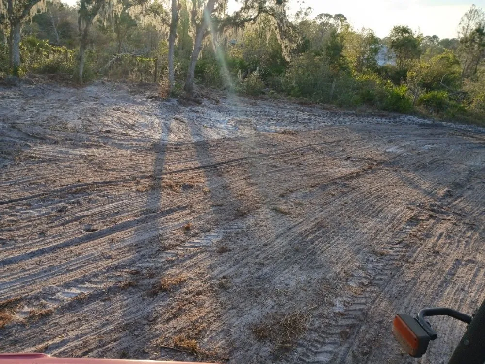 Affordable residential landscaping with custom design in Frostproof, FL by RLF Land Services