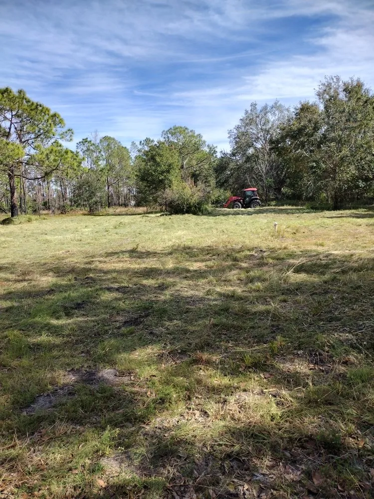 Trusted lawn mowing service in Frostproof, FL by RLF Land Services