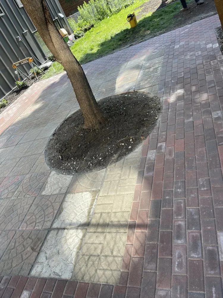 Trusted landscape installation with custom design across Berwyn, IL - RLG Landscaping