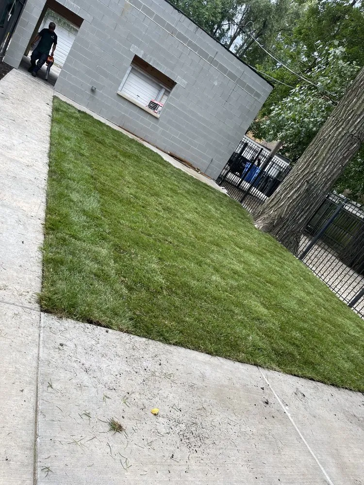 Local garden landscaping for outdoor upgrades in Berwyn, IL by RLG Landscaping