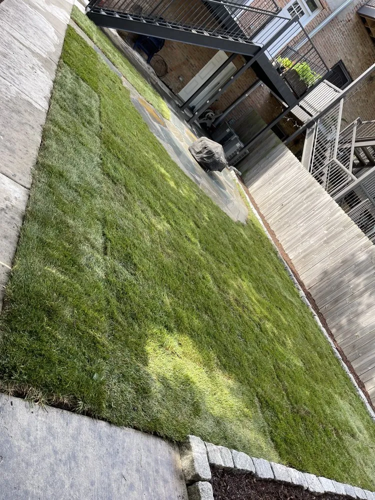 Professional residential landscaping in Berwyn, IL by RLG Landscaping