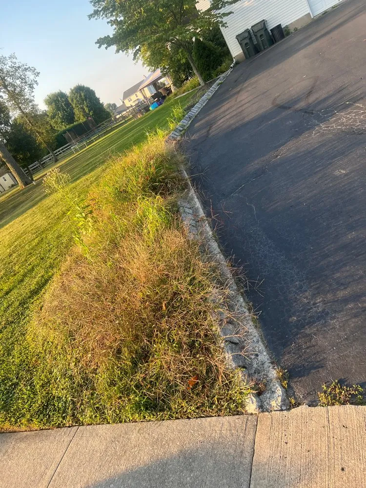 Top-rated yard cleanup service in New Egypt, NJ by RLG Landscaping