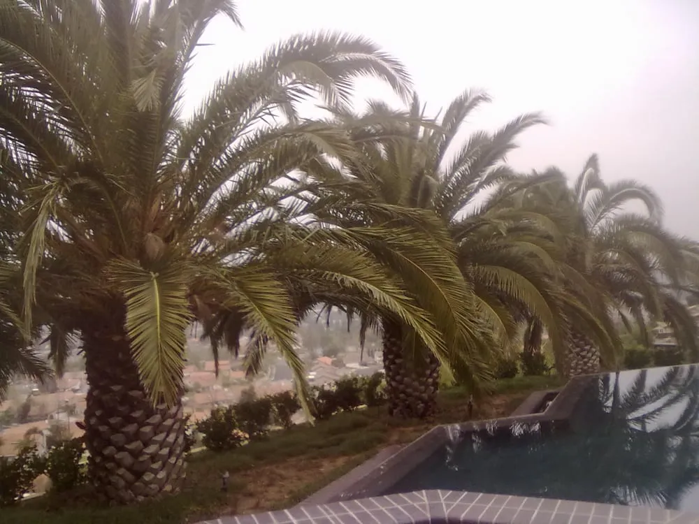 Custom landscaping services for outdoor upgrades in Stanton, CA by RLO Landscape