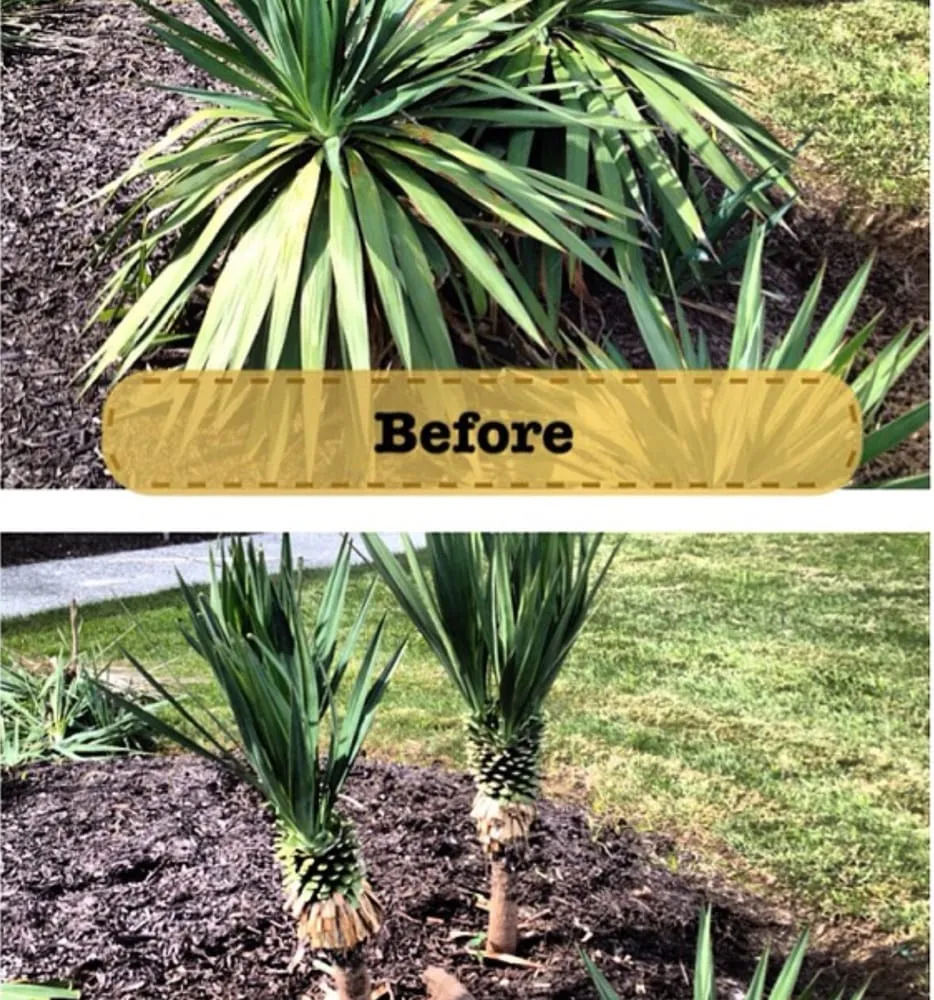 Affordable landscape installation for residential properties across Upperco, MD - RLS Contracting