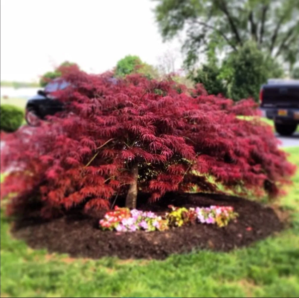 Reliable residential landscaping experts serving Upperco, MD - RLS Contracting