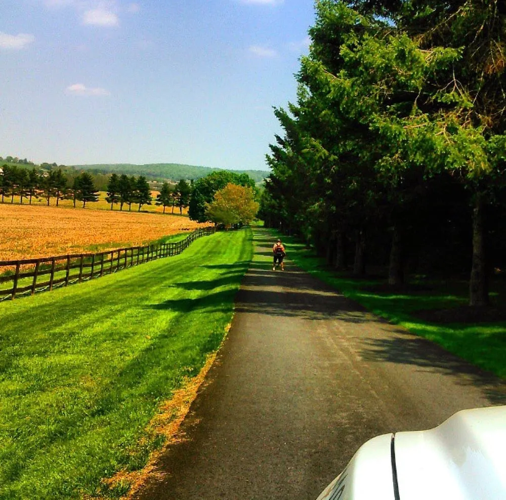 Affordable outdoor landscaping experts serving Upperco, MD - RLS Contracting
