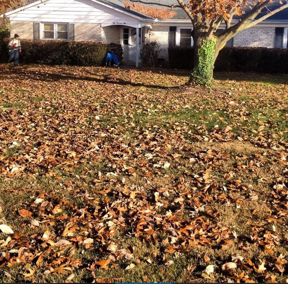 Reliable lawn care service for homes in Upperco, MD by RLS Contracting