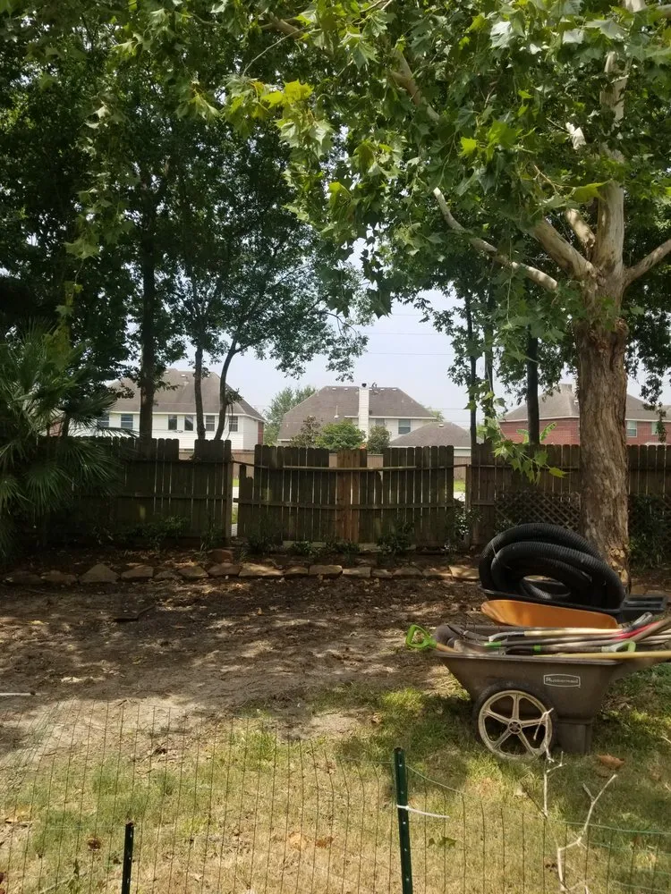 Professional landscaping services for beautiful yards in Sugar Land, TX by RLS Landscaping and Tree Service