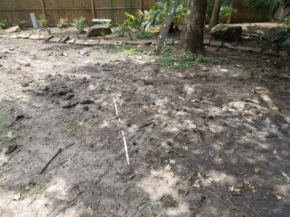 Expert lawn mowing service near you across Sugar Land, TX - RLS Landscaping and Tree Service