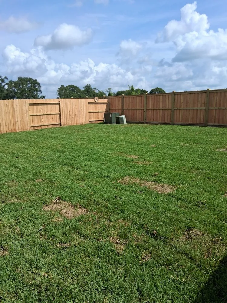 Custom lawn mowing service experts serving Fresno, TX - RLS Lawn Service