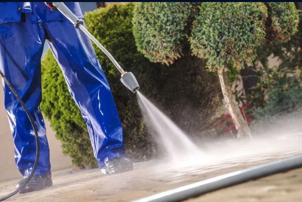 Reliable landscape design experts serving Fresno, TX - RLS Lawn Service