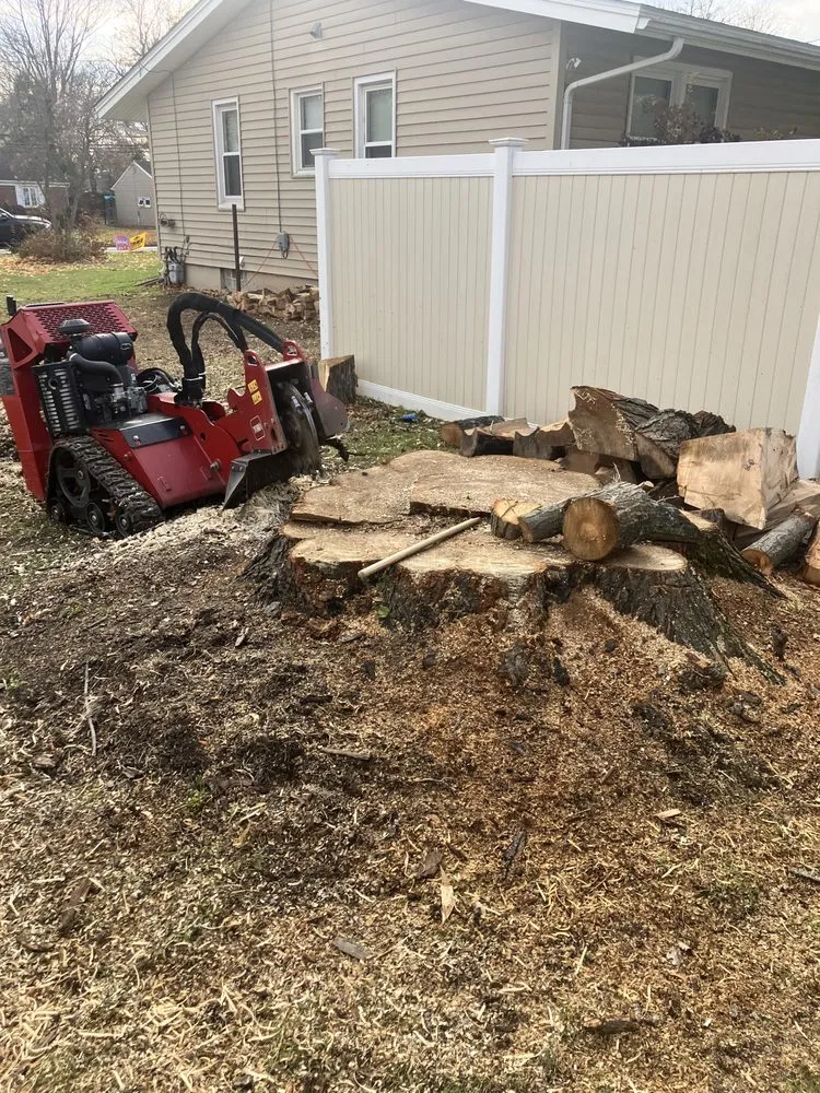 Expert landscape design in North Tonawanda, NY by RLS