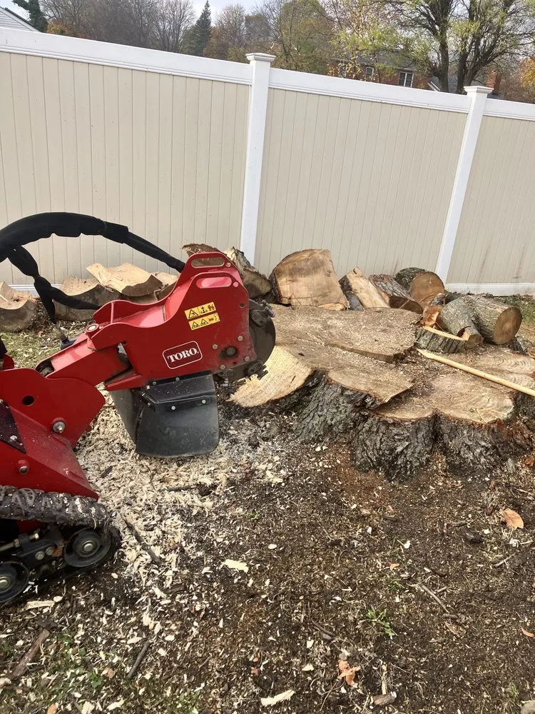 Professional residential landscaping experts serving North Tonawanda, NY - RLS