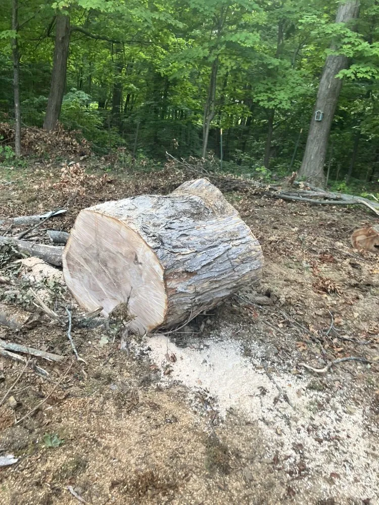 Top-rated yard maintenance for year-round maintenance in North Tonawanda, NY by RLS