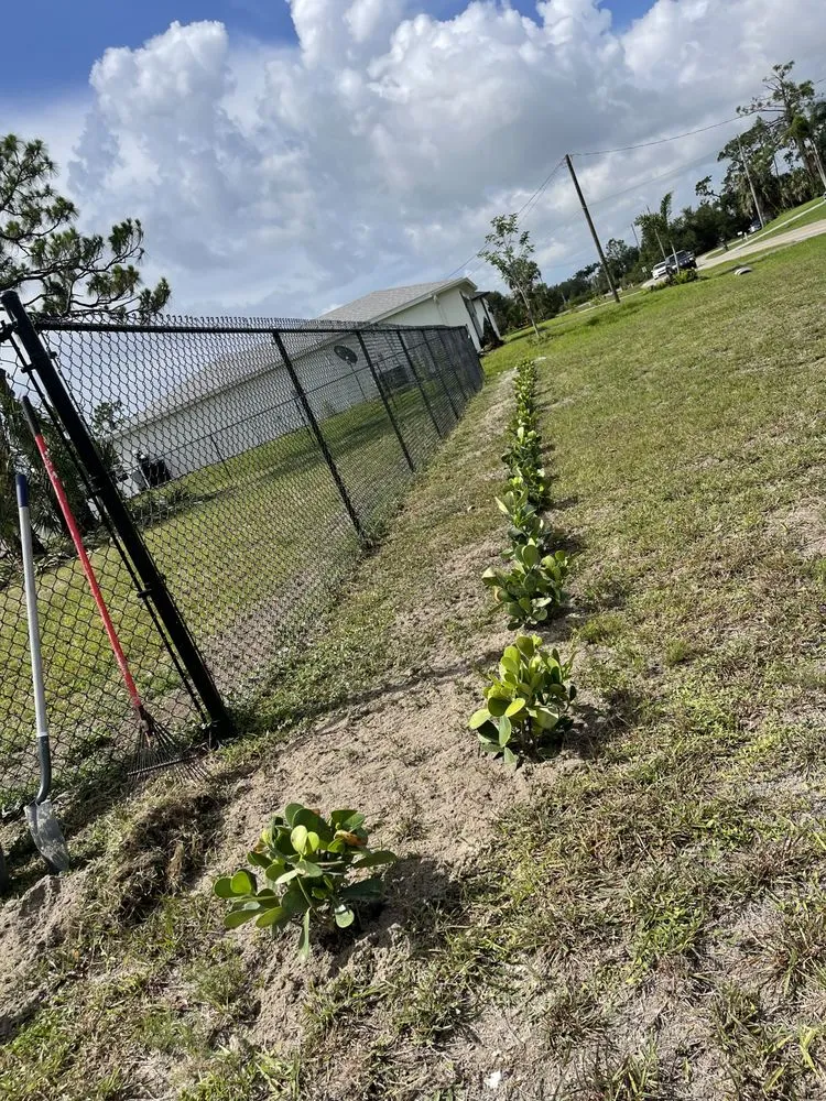 Trusted lawn care service experts serving Fort Myers, FL - RLTC