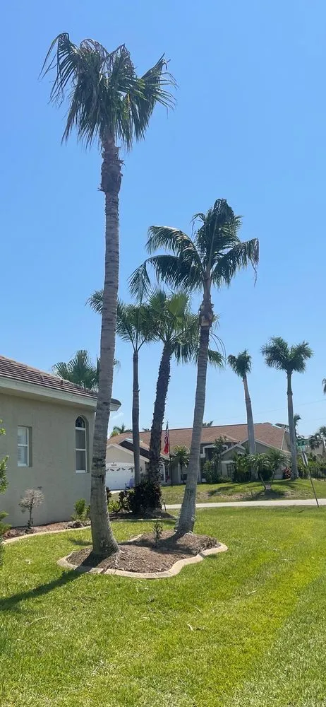 Top-rated residential landscaping experts serving Fort Myers, FL - RLTC