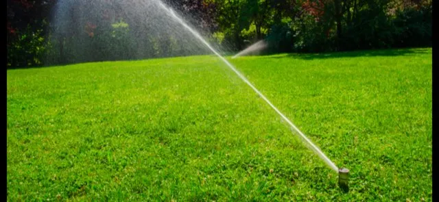 Professional landscaping services in Fort Myers, FL - RLTC