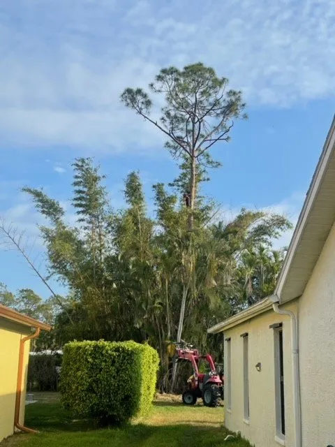 Affordable landscape design experts serving Fort Myers, FL - RLTC