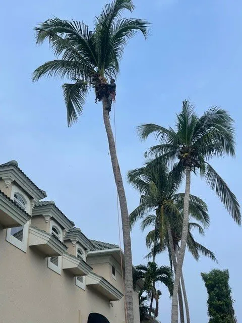 Affordable landscape design for homes in Fort Myers, FL by RLTC