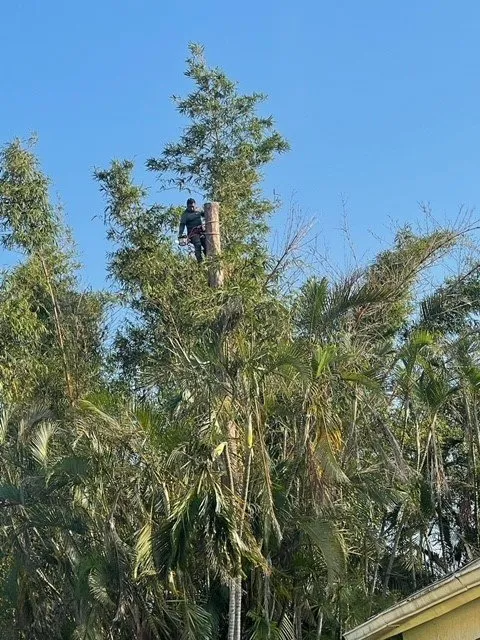 Trusted outdoor landscaping with custom design across Fort Myers, FL - RLTC