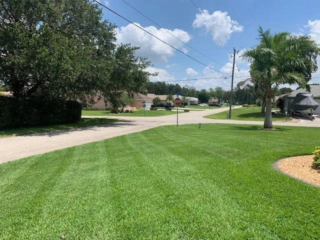 Local yard cleanup service for outdoor upgrades across Fort Myers, FL - RLTC