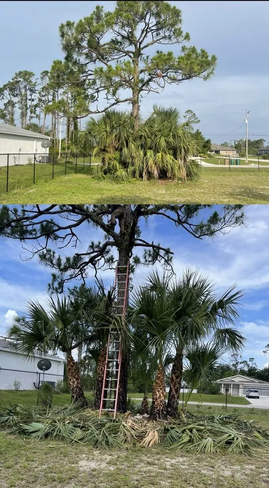 Local yard maintenance with custom design across Fort Myers, FL - RLTC