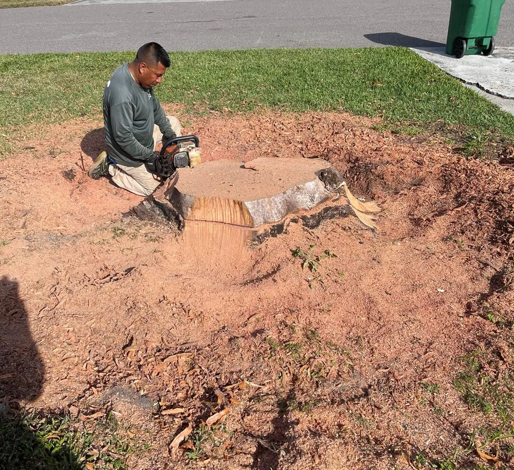 Affordable yard maintenance for residential properties across Fort Myers, FL - RLTC