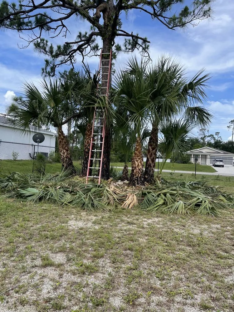 Reliable outdoor landscaping in Fort Myers, FL by RLTC