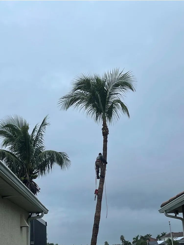 Reliable garden landscaping in Fort Myers, FL by RLTC