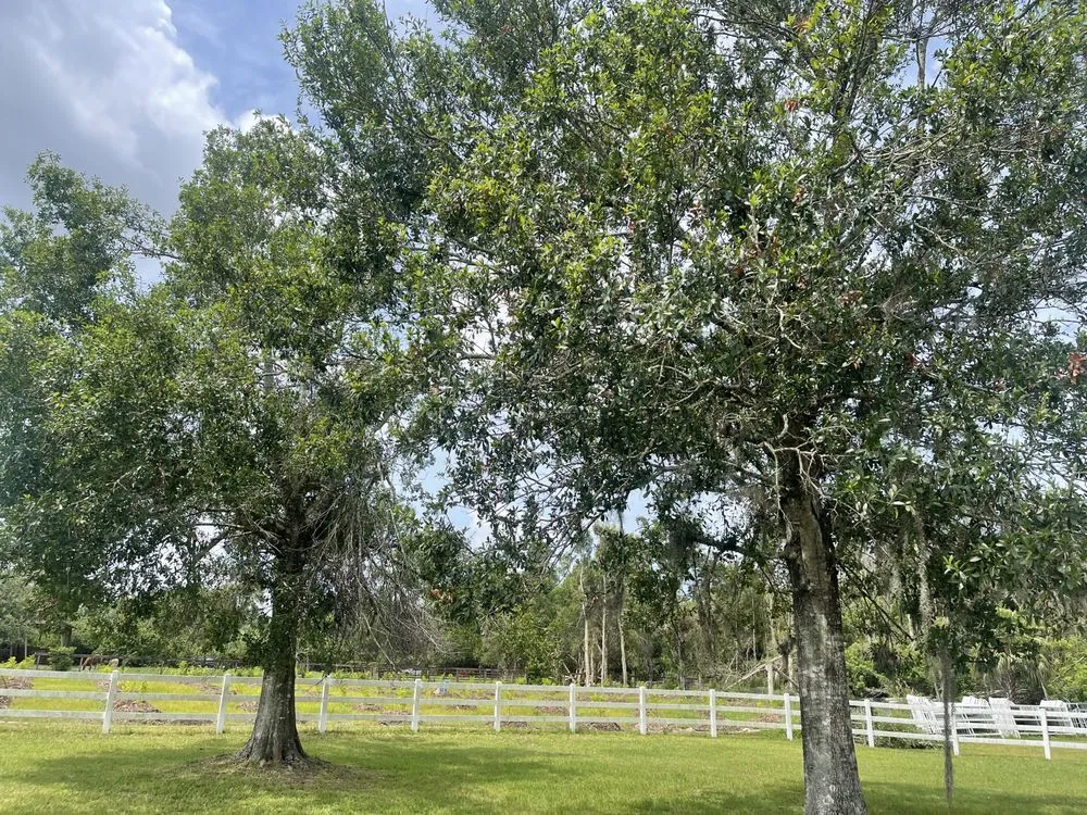 Reliable outdoor landscaping in Fort Myers, FL by RLTC