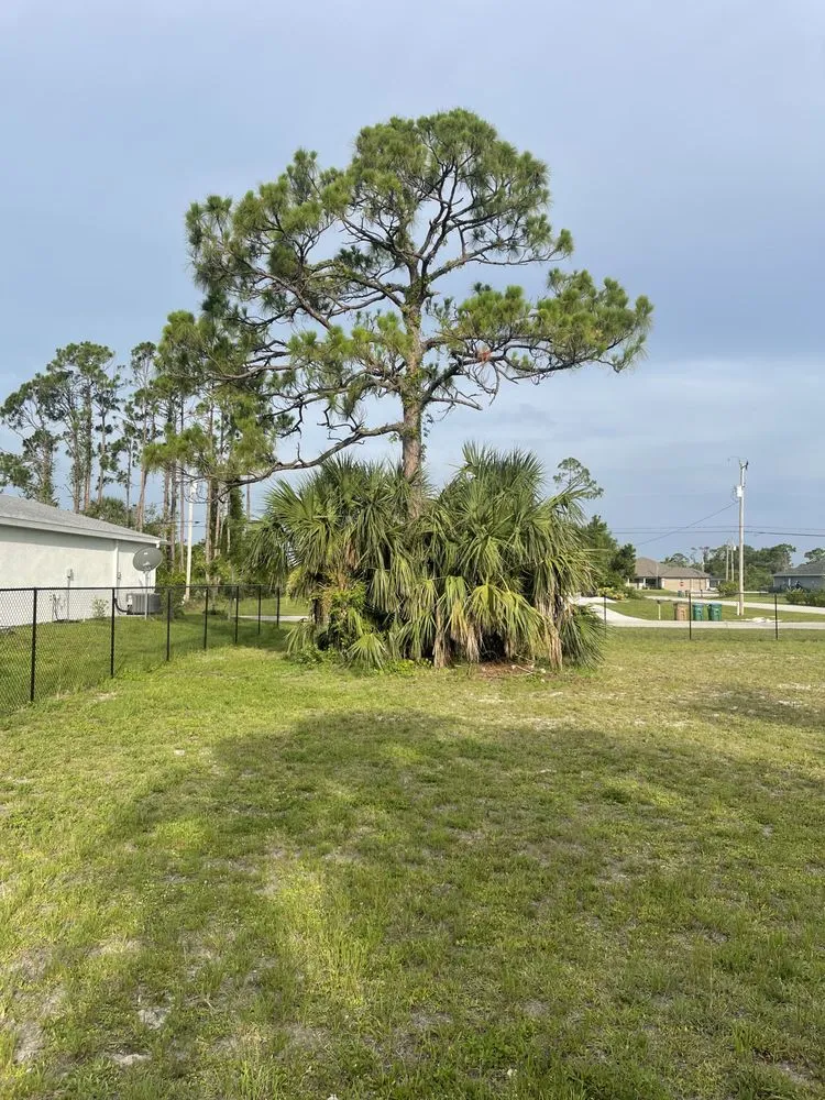 Top-rated landscaping services experts serving Fort Myers, FL - RLTC