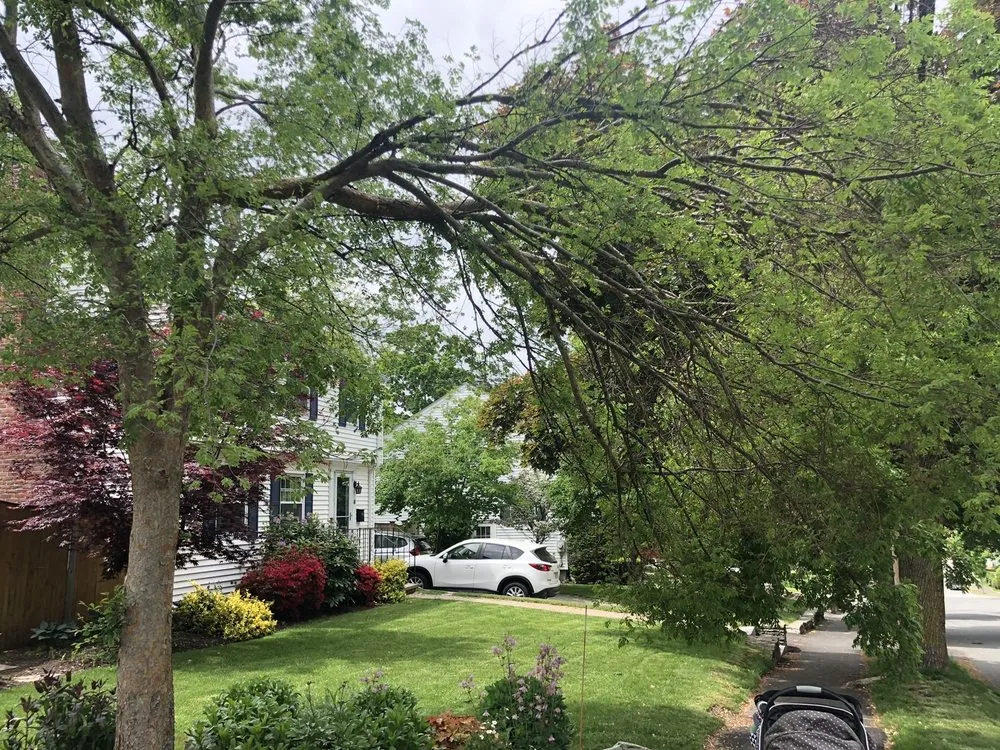 Custom landscaping services in Waltham, MA by RM Affordable Landscaping