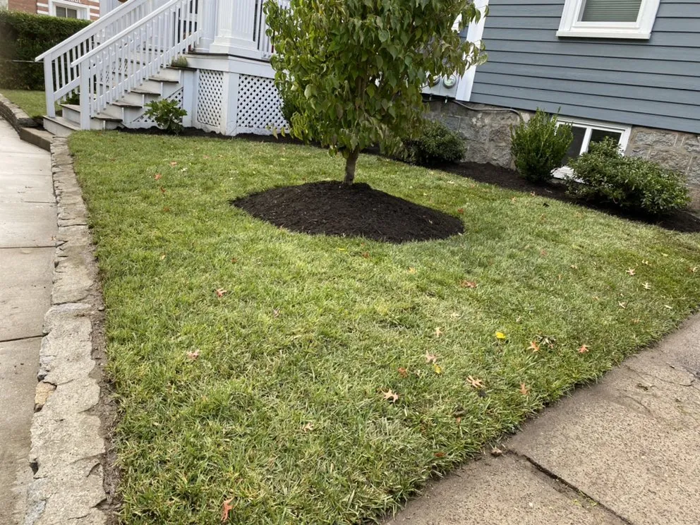 Custom yard cleanup service in Waltham, MA - RM Affordable Landscaping