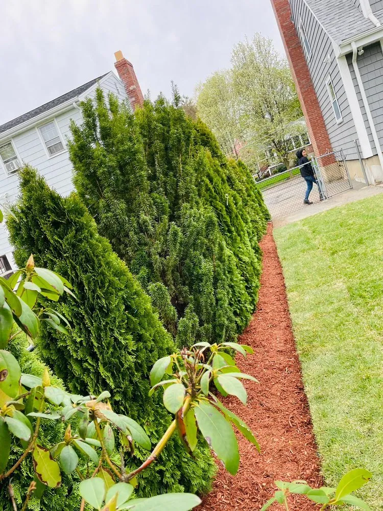 Affordable yard cleanup service in Waltham, MA - RM Affordable Landscaping